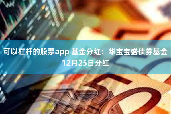 可以杠杆的股票app 基金分红：华宝宝盛债券基金12月25日分红