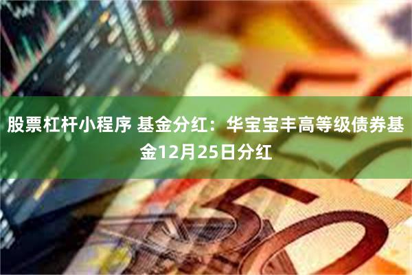 股票杠杆小程序 基金分红：华宝宝丰高等级债券基金12月25日分红