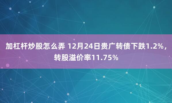 加杠杆炒股怎么弄 12月24日贵广转债下跌1.2%，转股溢价率11.75%