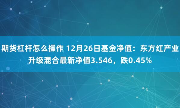 期货杠杆怎么操作 12月26日基金净值：东方红产业升级混合最新净值3.546，跌0.45%