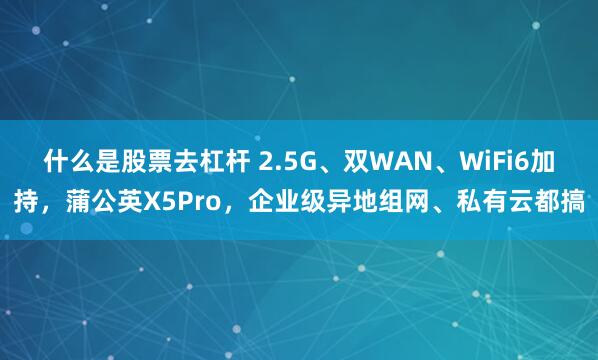 什么是股票去杠杆 2.5G、双WAN、WiFi6加持，蒲公英X5Pro，企业级异地组网、私有云都搞