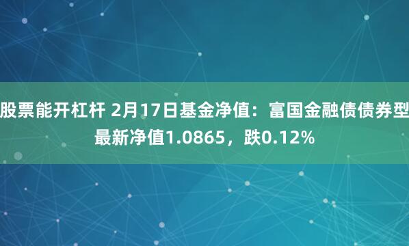 股票能开杠杆 2月17日基金净值：富国金融债债券型最新净值1.0865，跌0.12%